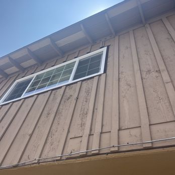 Bee Removal - Pest Control Near Me
