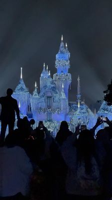 Disneyland Resort by null