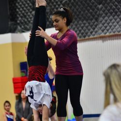 Elite Gymnastics