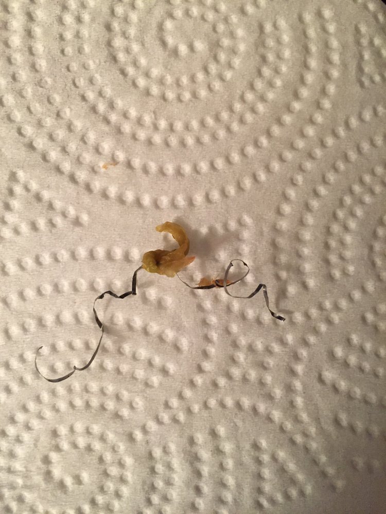 PANDA RESTAURANT Updated August 2024 20 Reviews 1116 Chester Pike, Sharon Hill