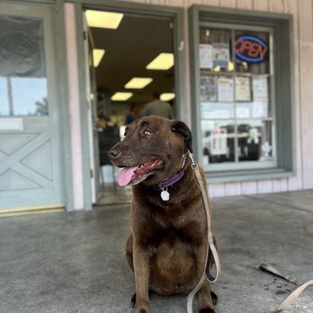 Sham-Paws Self Serve Dog Wash - Maisel outside the shop - Pet Groomers Near Me - Placentia, California Sham-Paws Self Serve Dog Wash - Maisel outside the shop - Pet Groomers Near Me - Placentia, California