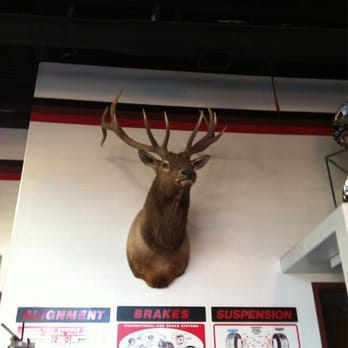 Big O Tire Stores - Lobby - Tires Near Me - Sierra Vista, Arizona Big O Tire Stores - Lobby - Tires Near Me - Sierra Vista, Arizona