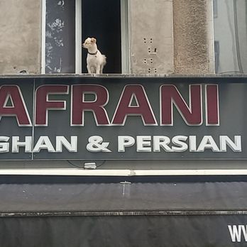 Safrani - Persian/Iranian Near Me - Berlin, BE Safrani - Persian/Iranian Near Me - Berlin, BE