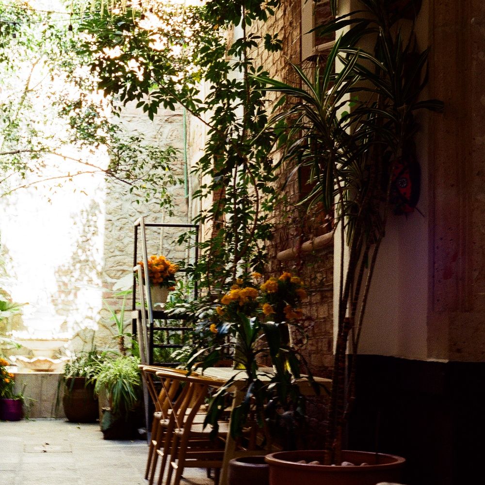El Patio77 - Bed & Breakfast Near Me - México, D.F., DIF