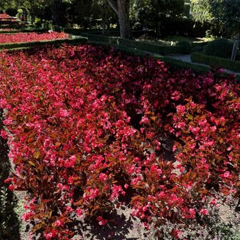 Filoli - Botanical Gardens Near Me - Woodside, California Filoli - Botanical Gardens Near Me - Woodside, California