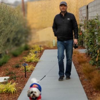 Olea Hotel - Hotels Near Me - Glen Ellen, California Olea Hotel - Hotels Near Me - Glen Ellen, California