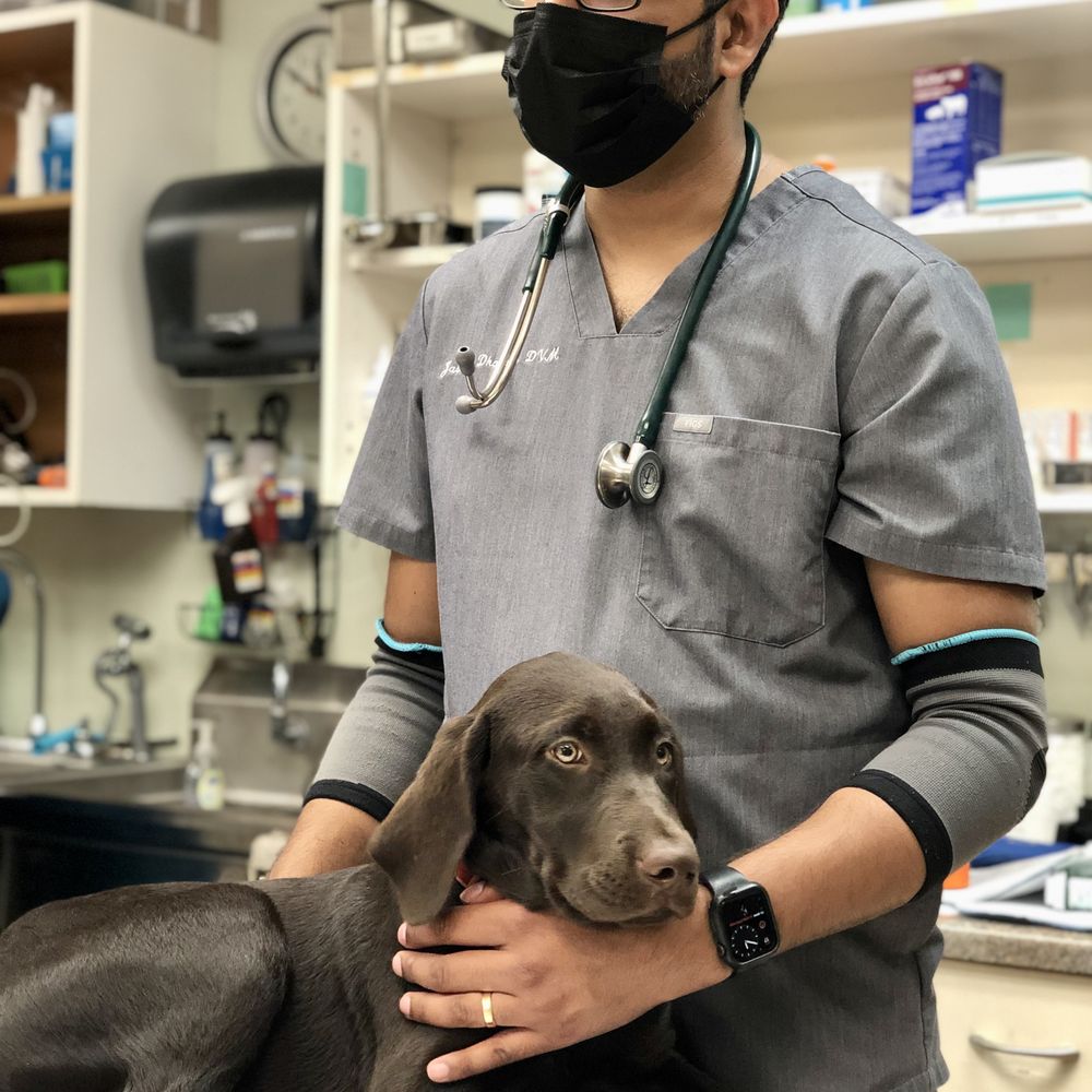 TOP 10 BEST Veterinary Clinic near National City, CA - Updated 2026 - Yelp