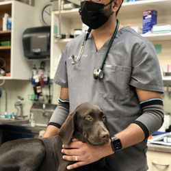 Plaza Boulevard Pet Hospital - Dr. Dhaliwal