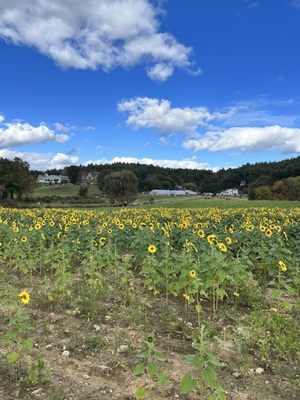 Hanson's Farm by null