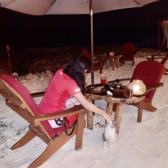 Casa Maria - Feed the cat - Seafood Near Me - Tulum, ROO