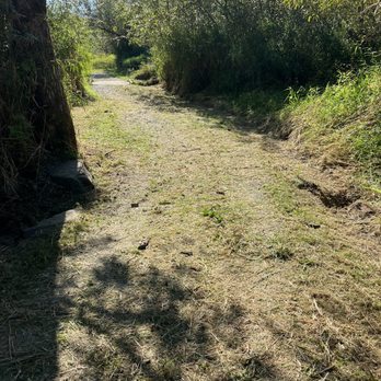 Lake Sammamish State Park - Newly maintained trail - Parks Near Me - Issaquah, Washington
