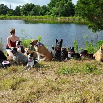 K9 Mastery - Misty and Sweetie's Birthday Party - Pet Training Near Me - Bastrop, Texas K9 Mastery - Misty and Sweetie's Birthday Party - Pet Training Near Me - Bastrop, Texas