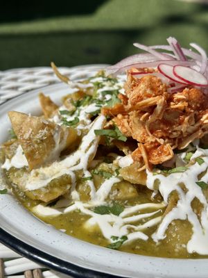 Suculenta Cocina Mexicana by null
