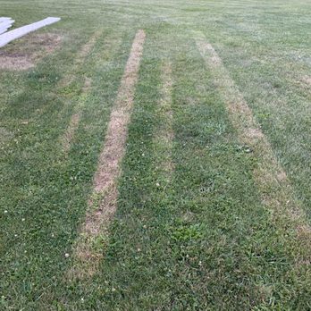 Katz Roofing & Siding - Nice job of killing the grass! - Roofing Near Me - Potterville, Michigan