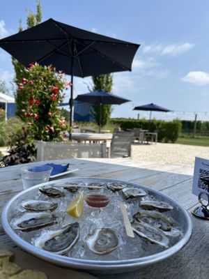 Peconic Bay Vineyards by Krissie Wines by null