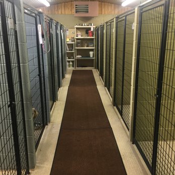 Four Paws Resort - Dog Kennel area - Pet Boarding Near Me - Granby, Colorado