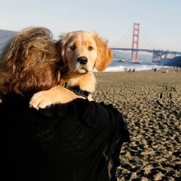 Special photo for our special puppy :) Special photo for our special puppy :)