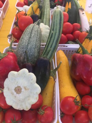 Lubbock Downtown Farmers Market by null