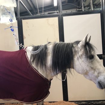 Pilchuck Veterinary Hospital - Small Animal - Recovery barn - Veterinarians Near Me - Snohomish, Washington Pilchuck Veterinary Hospital - Small Animal - Recovery barn - Veterinarians Near Me - Snohomish, Washington