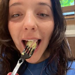 the fresh avocado the fresh avocado