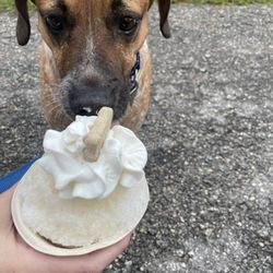 Top Down Shaved Ice