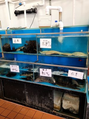 Quality Seafood by null