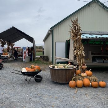 Mayne's Tree Farm - pumpkins and corn - Farmers Market Near Me - Buckeystown, Maryland