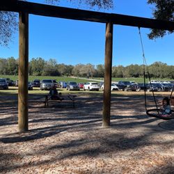 Oak Haven Farms & Winery - Swings and strawberry fields.