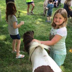Cameron Public Library - Library petting zoo in park
