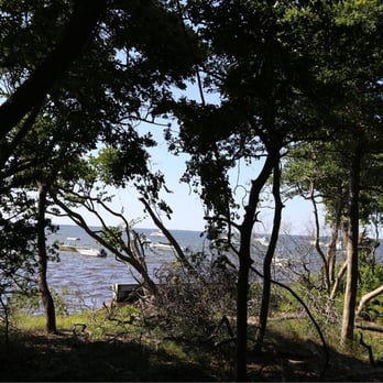 Sunken Forest - Exiting the forest to sailors haven - Parks Near Me - Sayville, New York