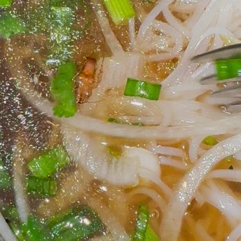 Pho Kim - Pho Beef Well-Done Brisket Pho - Vietnamese Near Me - Federal Way, Washington Pho Kim - Pho Beef Well-Done Brisket Pho - Vietnamese Near Me - Federal Way, Washington