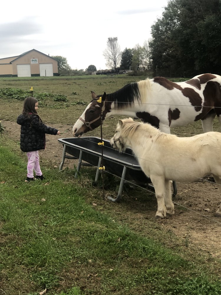 Social spots from The REATH Center
