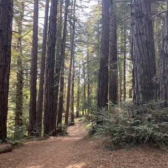 Post Ranch Inn - Billy's Trail - Hotels Near Me - Big Sur, California