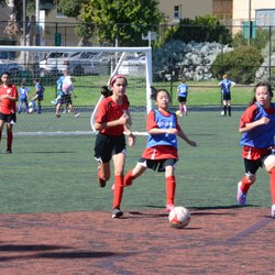 SF Vikings Soccer Club