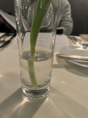 Alcove - Evanston by null