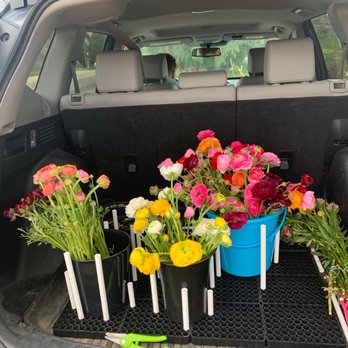 Sandoval and Sons Flower Grower - I also buy the precut! Thank you for the gorgeous ranunculus. Perfect to design with @rosewoodsfloral. - Pick Your Own Farms Near Me - Bonsall, California Sandoval and Sons Flower Grower - I also buy the precut! Thank you for the gorgeous ranunculus. Perfect to design with @rosewoodsfloral. - Pick Your Own Farms Near Me - Bonsall, California