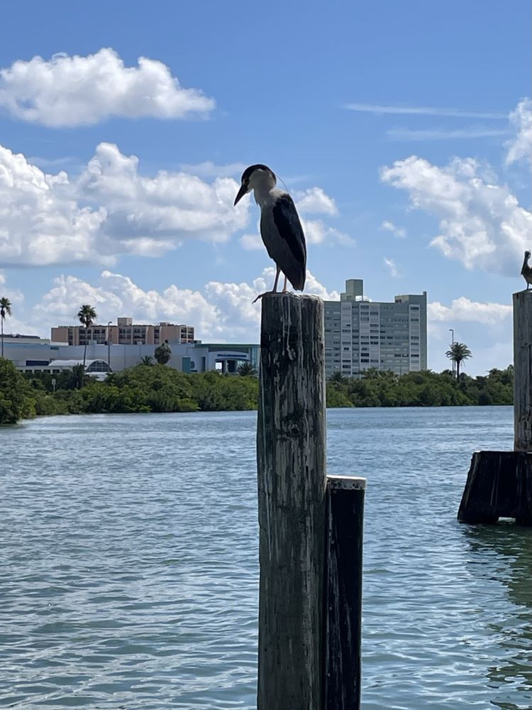 The Bait House Tackle & Tavern
