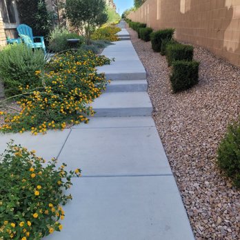 Green Environmental Landscape  - This is over grown onto the sidewalk...and the bushes....omg...do they show up to trim using children's scissors? Hmmm? - Landscaping Near Me - Las Vegas, Nevada