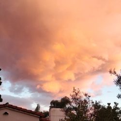 Whitley Heights