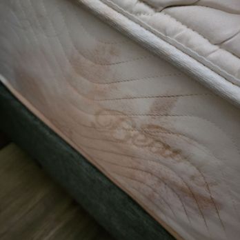 Radisson Hotel Seattle Airport - Puke stained mattress - Hotels Near Me - Seattle, Washington Radisson Hotel Seattle Airport - Puke stained mattress - Hotels Near Me - Seattle, Washington