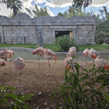 Reid Park Zoo - Zoos Near Me - Tucson, Arizona