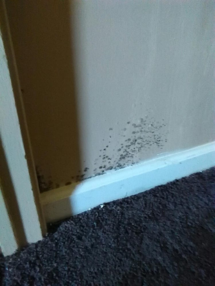 CASTLE REAL ESTATE Updated July 2024 1001 Sylvan Ave, Modesto