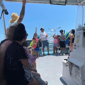 Island Boat Adventures - 4 hour tour - Tours Near Me - Gulfport, Florida Island Boat Adventures - 4 hour tour - Tours Near Me - Gulfport, Florida