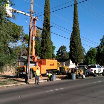 Travis Tree Service - Tree Services Near Me - Fresno, California Travis Tree Service - Tree Services Near Me - Fresno, California