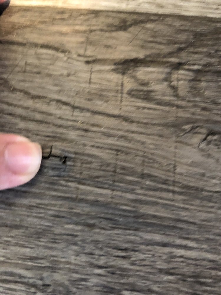 Slide of First Class Construction Services