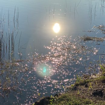 Lakes Regional Park - Playing with late afternoon sun reflections - Parks Near Me - Fort Myers, Florida Lakes Regional Park - Playing with late afternoon sun reflections - Parks Near Me - Fort Myers, Florida