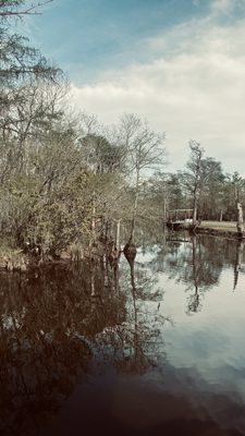 Bluebird Fish Camp by null