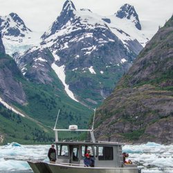 Tongass Adventures - LeConte Glacier Bay