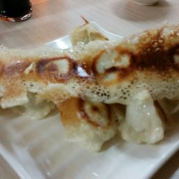 Chicken panfried dumplings