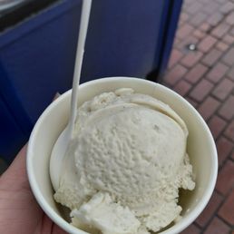 honey lavender single scoop in cup honey lavender single scoop in cup